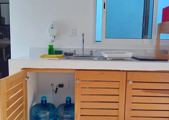 Estudio Coati Azul En La Isla De En El Caribe *