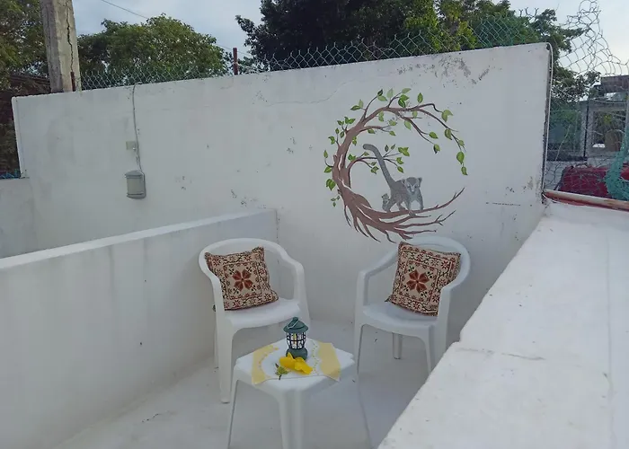Apartment Estudio Coati Azul En La Isla De En El Caribe Cozumel