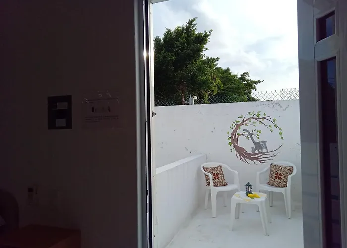 Apartment Estudio Coati Azul En La Isla De En El Caribe Cozumel