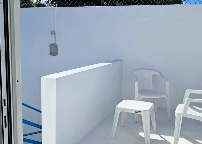 Estudio Coati Azul En La Isla De En El Caribe *
